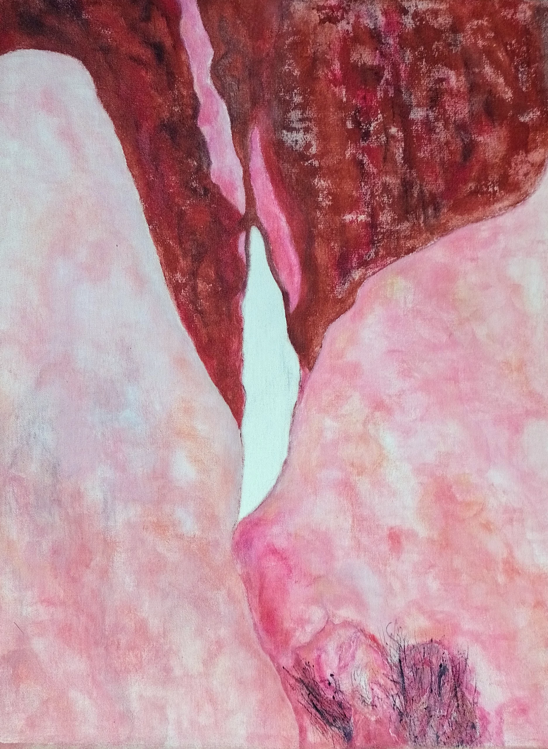 Sin titulo. 46 x 36 cm. 2010